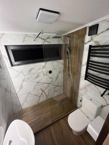 a bathroom with a shower and a toilet at Nagoru house in Tukhlya