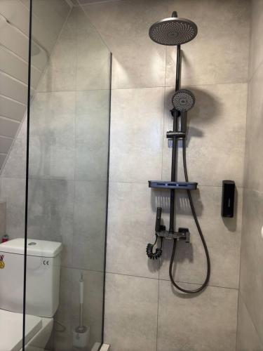 a shower in a bathroom with a toilet at Karapetyans Guest House in Stepʼanavan