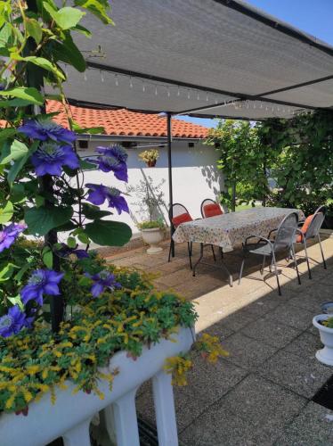Apartman Jenny-Poreč