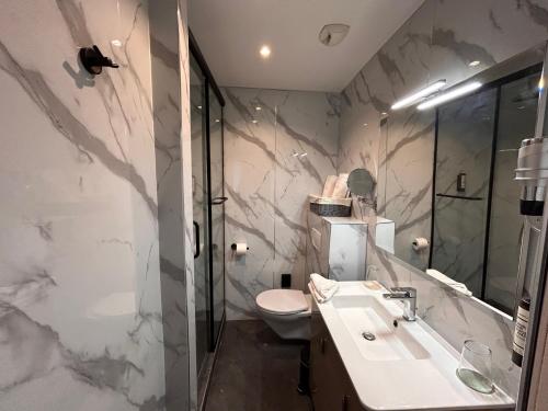 a bathroom with a sink and a toilet at Thoiry Etoile Lodge, Sure Hotel Collection by Best Western in Thoiry