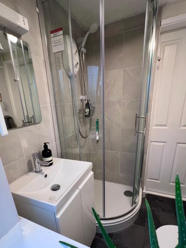 a bathroom with a shower and a sink and a toilet at Bryntin in Penzance