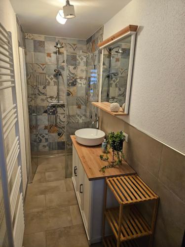 a bathroom with a sink and a shower at Fewo Kirch Jesar in Kirch Jesar