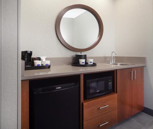 a bathroom with a sink and a microwave and a mirror at Hampton Inn & Suites Cleveland-Mentor in Mentor