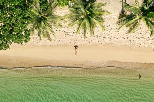 an overhead view of a person standing on a beach at San Nicolas Private Beach in Busuanga