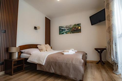 a bedroom with a bed and a tv on the wall at Noclegi u Masnych in Witów