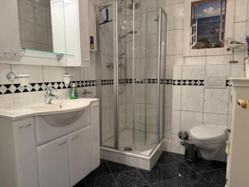a bathroom with a shower and a sink and a toilet at Langeneß Whg 15 Strandtraum in Wyk auf Föhr