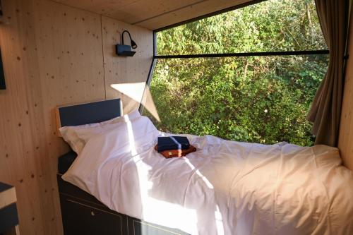 a bed in a room with a large window at Green&Tiny Spot Wolfenbüttel Okeraue - Sleep Space 1 in Wolfenbüttel