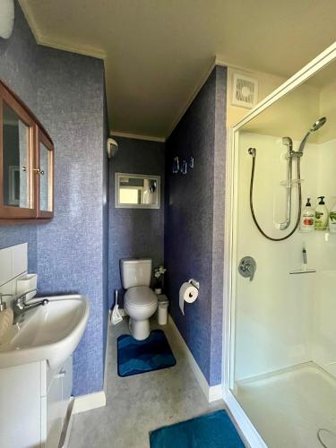 a bathroom with a toilet and a shower and a sink at Makara Beach Escape in Wellington