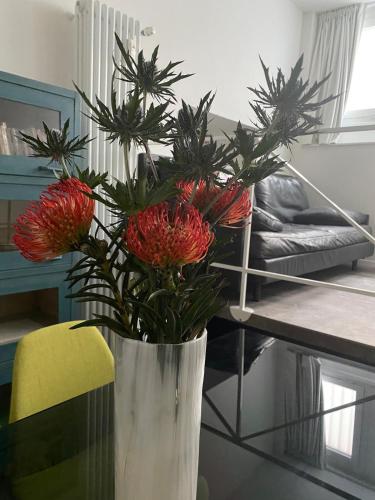 Downtown apartment, peace &sport