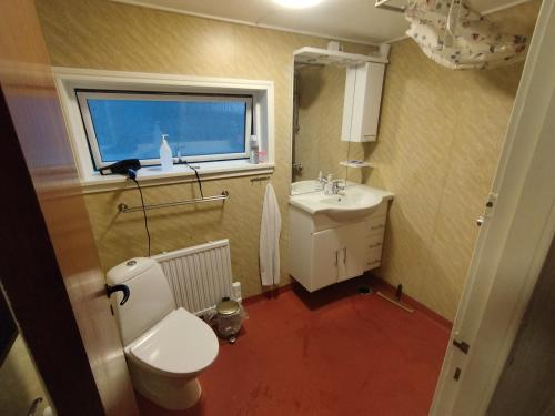 ein Badezimmer mit Toilette, Waschbecken und Fenster in der Unterkunft Fjeldgaard - Aarup in Årup