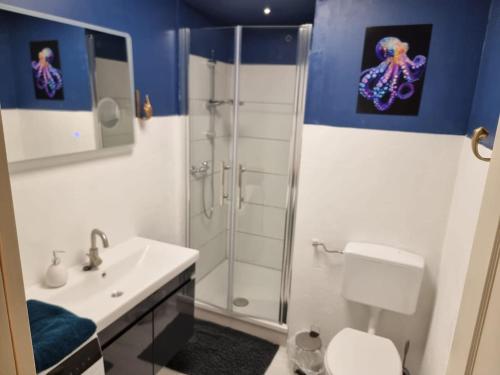 a bathroom with a shower and a toilet and a sink at Appartement am Diemelsee Infrarotsauna inklusive in Marsberg
