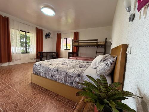 a bedroom with a bed and a potted plant at Pintuyan Dive Resort in Pintuyan
