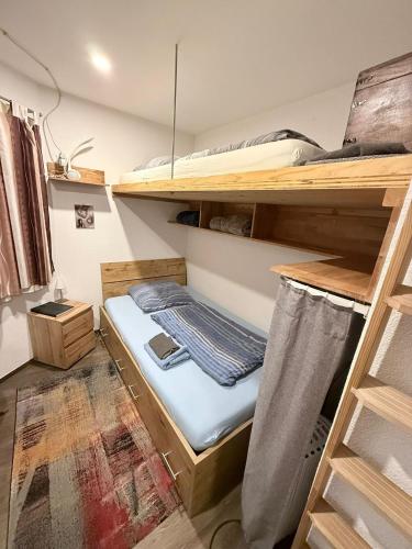 a room with a bunk bed and a ladder at Tiny House Nike in Tettnang