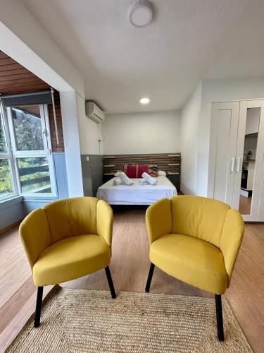 Amazing studio near downtown