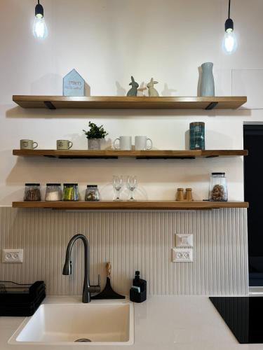 a kitchen counter with a sink and shelves at קיבוץ שדה נחום Green House in Sede Naẖum