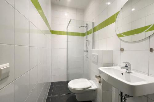 a bathroom with a toilet and a sink and a mirror at Group accommodation De Beemster with Sauna | 14 persons in West-Graftdijk