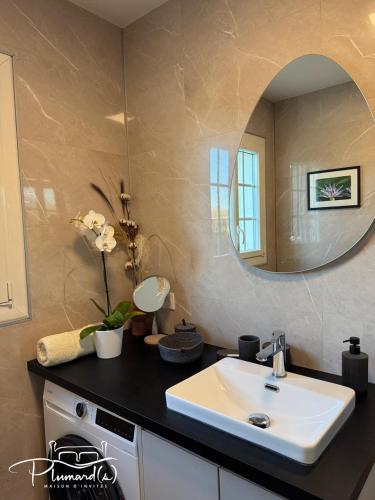 a bathroom with a sink and a mirror at Plumards, maison d'invités proche Abbaye in Argoules