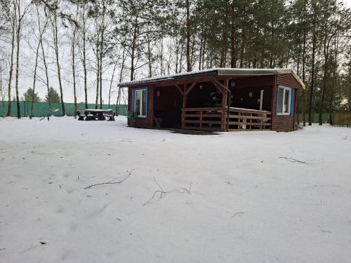 Leśny Zakątek Lipinki Bory Tucholskie - sauna