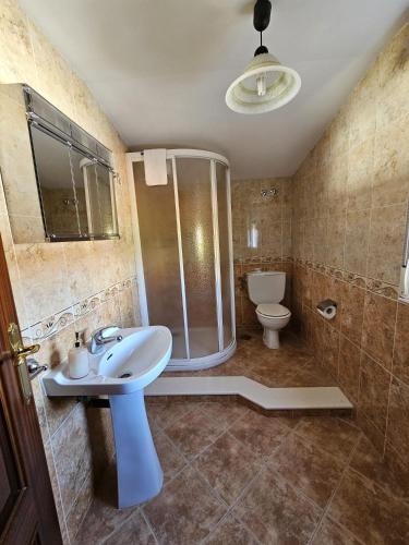 a bathroom with a shower and a sink and a toilet at Pensión Lubina in Bueu