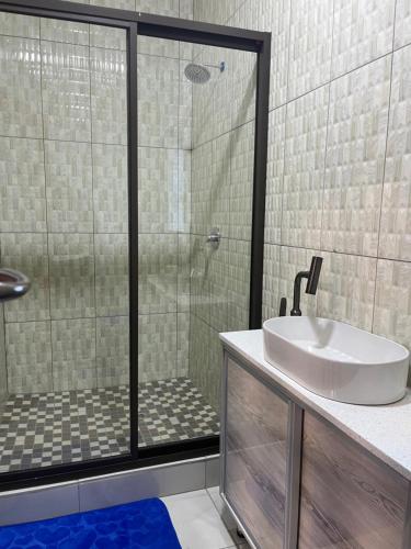 a bathroom with a shower and a white sink at M & J Executive Suites in Johannesburg