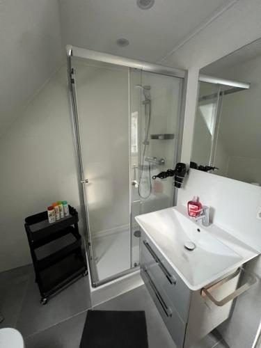 a bathroom with a shower and a white sink at Ferienhaus mit Trifelsblick in Annweiler am Trifels