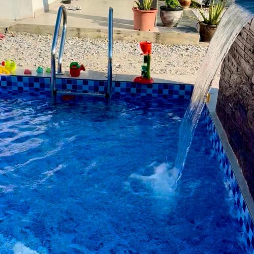 a dolphin in the water in a swimming pool at Omah Kebun Private Pool in Sungai Besar