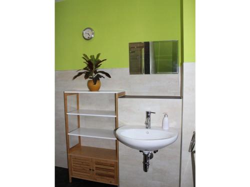 a bathroom with a sink and a potted plant at Ferienwohnung-Sonnenterrasse in Malchow