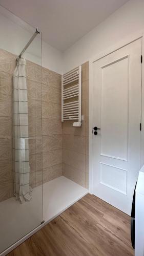 a bathroom with a shower and a glass door at Casa Luxemburgo in Torrevieja