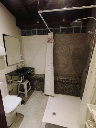 a bathroom with a shower and a toilet and a sink at NetosResidence in Freixo de Baixo