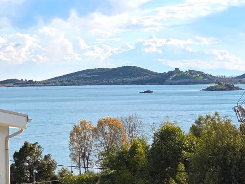 a view of a large body of water with trees at Ocaso Luxury Apartment in Nea Peramos