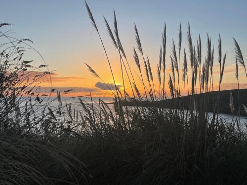 a sunset over the beach with tall grass at Seagulls Boutique Lodgings in Mevagissey