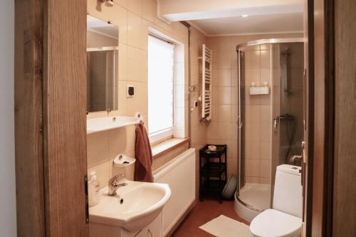 a bathroom with a sink and a toilet at Bogdanówka in Supraśl