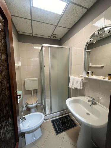a bathroom with a shower and a sink and a toilet at Hotel Elite in Turin