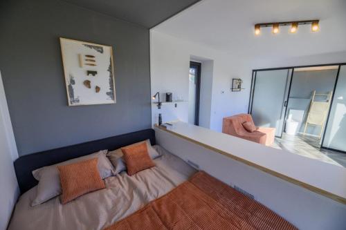 a living room with a couch and a mirror at Evergreen Retreat in Râșca