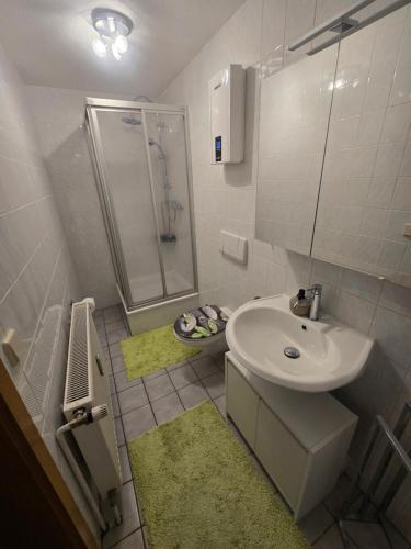 a bathroom with a sink and a shower at Ferienwohnung, Apartment, Monteurwohnung mit Klimaanlage Wettin-Löbejün in Gottgau
