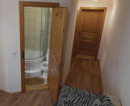 a bathroom with a toilet and a glass door at Готель Меридіан in Yasinya