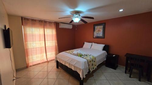 single, Double apartment & Queen room with bathroom