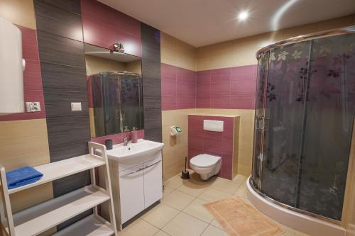 a bathroom with a sink and a shower and a toilet at Domki Nad Tanwią in Susiec