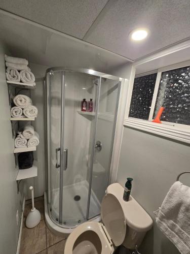 a bathroom with a shower and a white toilet at Cozy East Hill 2026 in Belleville