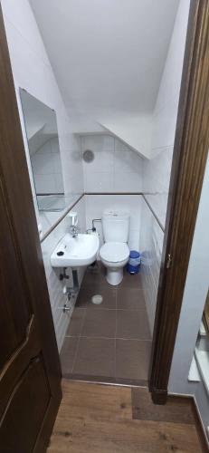 a small bathroom with a toilet and a sink at Plaza de la Cruz, 2 in Cazalegas
