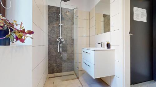 a bathroom with a shower with a sink and a toilet at Studio Fibra Gusto in Rybnik
