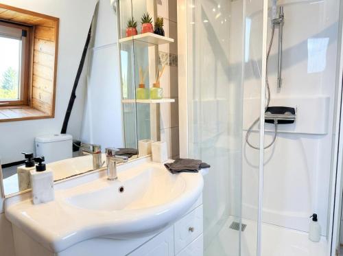 a bathroom with a sink and a shower at Le Cocon Alsacien au cœur de Rouffach in Rouffach