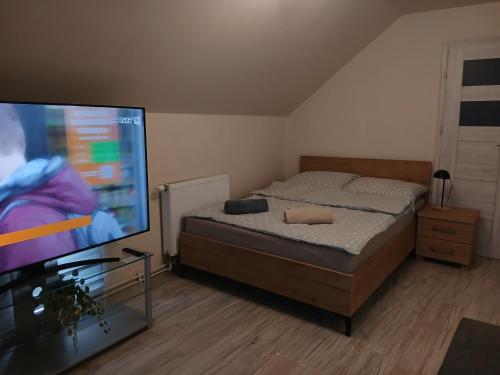 a bedroom with a bed and a flat screen tv at Baza wypadowa 4 in Lubań