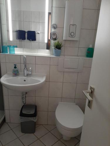 a bathroom with a toilet and a sink at Möwenhorst in Fehmarn