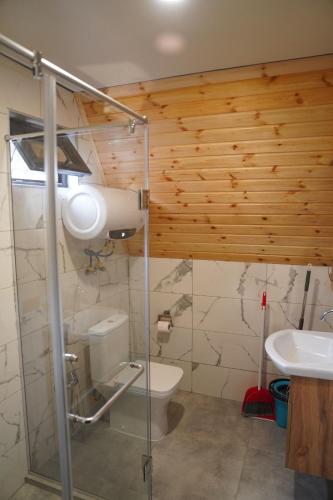 un bagno con WC e lavandino di Machakhela Hills a Machakhlispiri