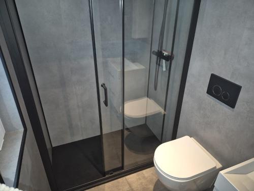 a bathroom with a shower and a toilet at Casa Sallandia met Outdoor Wellness! in Haarle