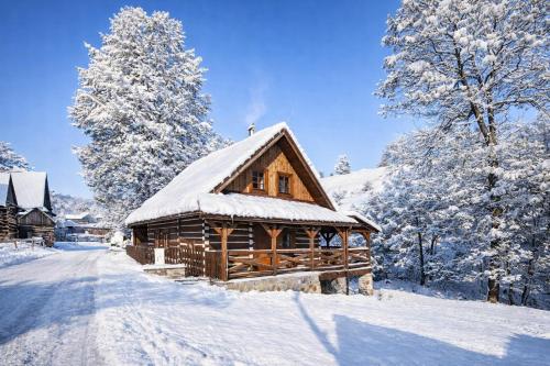 Drevenica Na kraji sveta