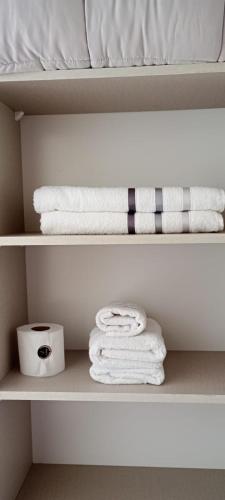 a shelf with towels and a roll of toilet paper at Le Clos La Perdiz in Pigüé