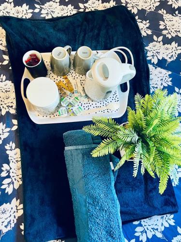a tray with cups and plates and a plant on a couch at Urban Blue by Wolverhampton Train Station in Wolverhampton