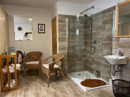 a bathroom with a shower and a sink and a toilet at Apartment Brusinka in Kašperské Hory
